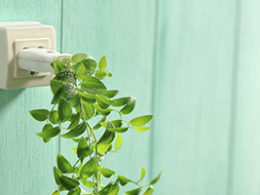 Home Energy saving tax credit shows a plant plugged into an outlet,. spilling out green cascading foilage.