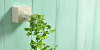 Home Energy saving tax credit shows a plant plugged into an outlet,. spilling out green cascading foilage.