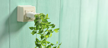 Home Energy saving tax credit shows a plant plugged into an outlet,. spilling out green cascading foilage.