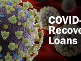 Side-By-Side Comparison Of The Paycheck Protection Program And Economic Injury Disaster LoansA macro shot of a COVID-19 molecule, with COVID-19 Recovery Loans spelled out over it.