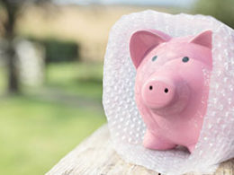 Need A Protective Claim Before July 15 - A ceramic piggybank is covered in protective bubblewrap
