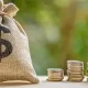 Video Tips: An Opportunity To Rollover Sec 529 Plan To A Roth IRA. A bag along with several stacks of coins line a table.